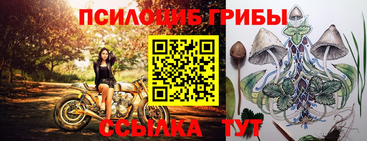 Псилоцибиновые грибы прущие грибы  Вход с VPN  Астрахань 