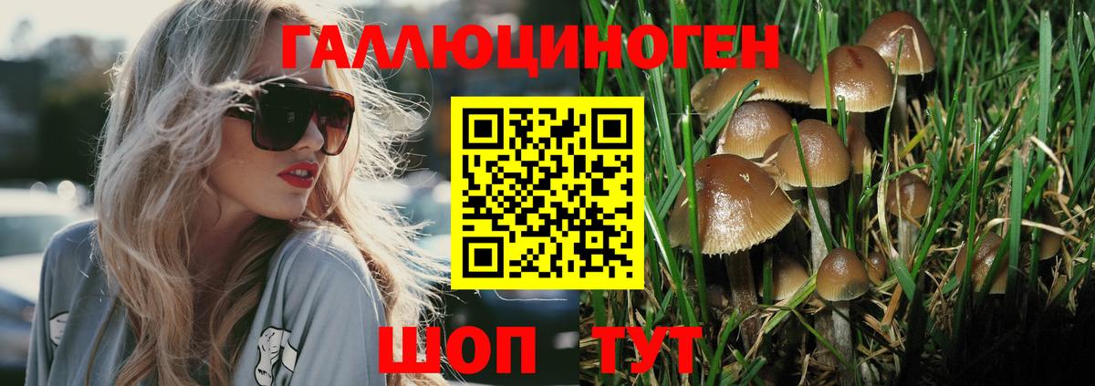Галлюциногенные грибы Magic Shrooms Астрахань